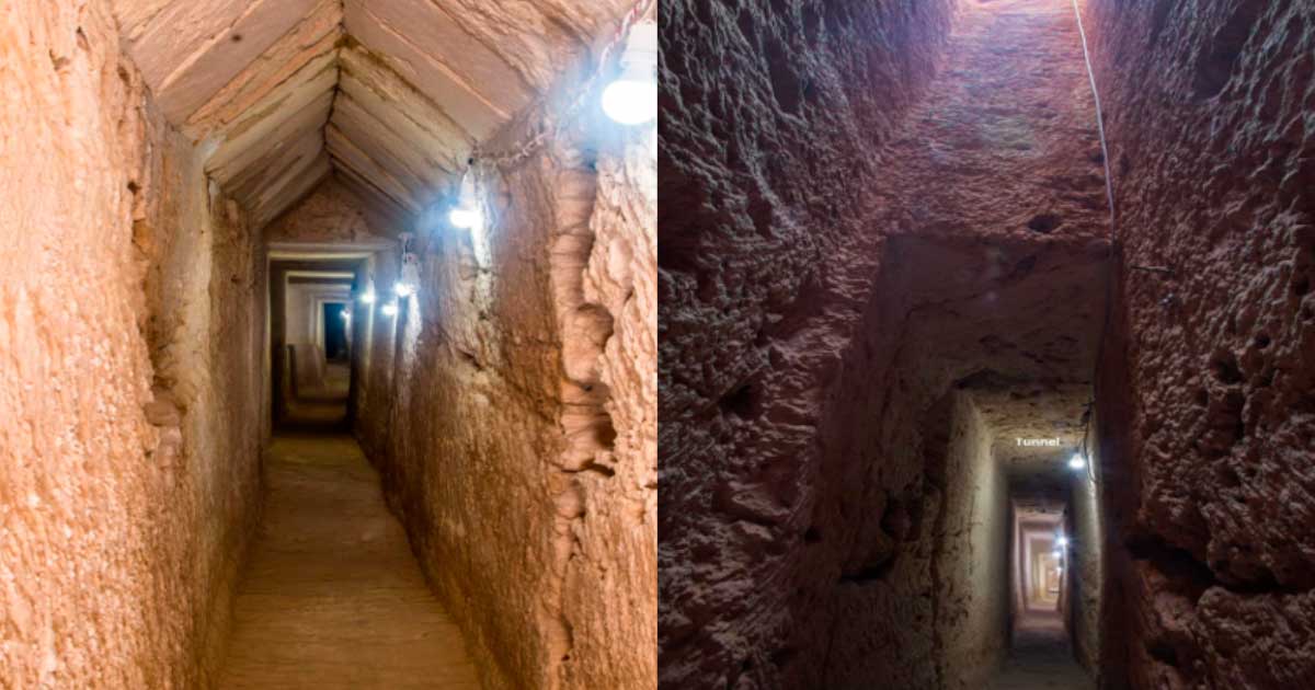 Tunnel Per Gamberetti In Polipropilene Nero Per Acquario, Decorazione Sotterranea Angolare Con Aperture E Rampine, Habitat Sicuro Per Pesci E Gamberetti